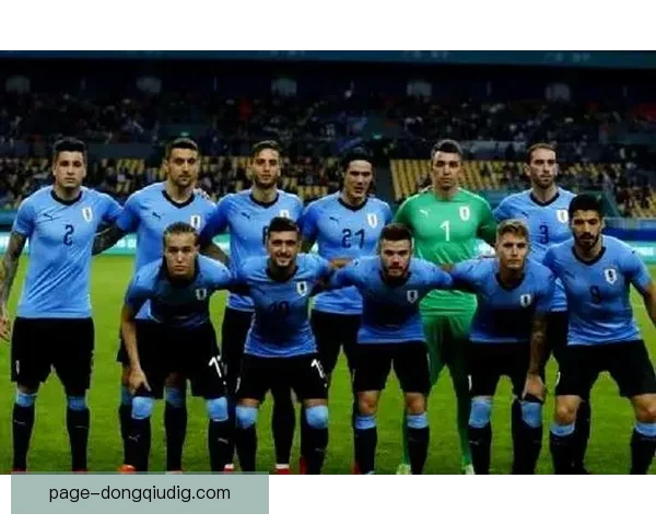 乌拉圭足球队荣誉与挑战并存的历程解析