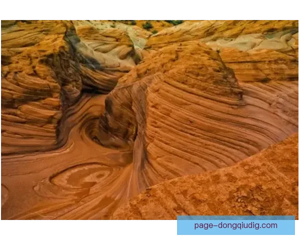 伏伊伏丁那完胜贝尔格莱德游击 以3比0轻松取胜再度巩固领先地位